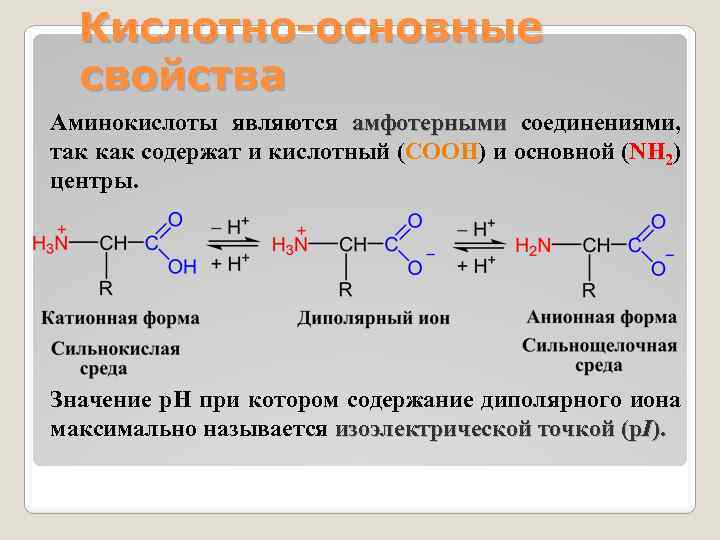 Кислотно-основные свойства Аминокислоты являются амфотерными соединениями, амфотерными так как содержат и кислотный (COOH) и
