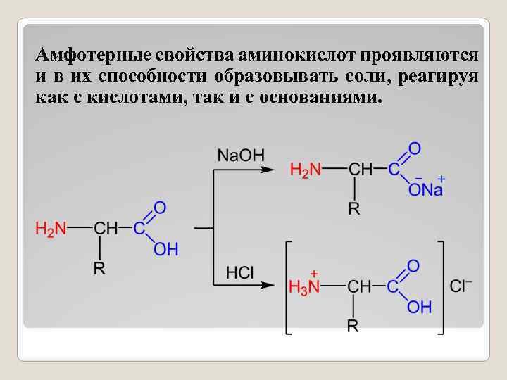 Амфотерные свойства аминокислот проявляются и в их способности образовывать соли, реагируя как с кислотами,