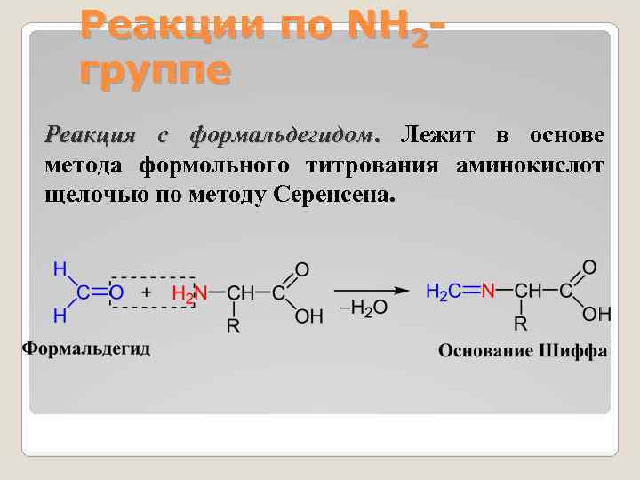 Реакции по NH 2 группе Реакция с формальдегидом. Лежит в основе метода формольного титрования