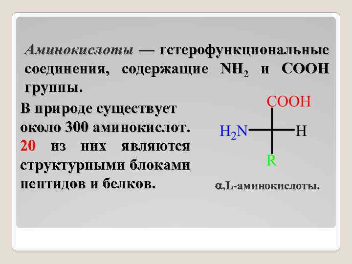 Аминокислоты — гетерофункциональные соединения, содержащие NH 2 и COOH группы. В природе существует около