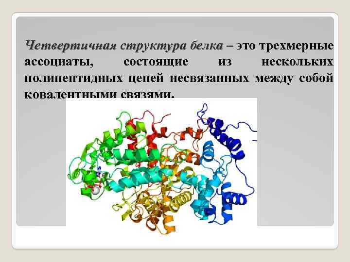 Четвертичная структура белка – это трехмерные ассоциаты, состоящие из нескольких полипептидных цепей несвязанных между