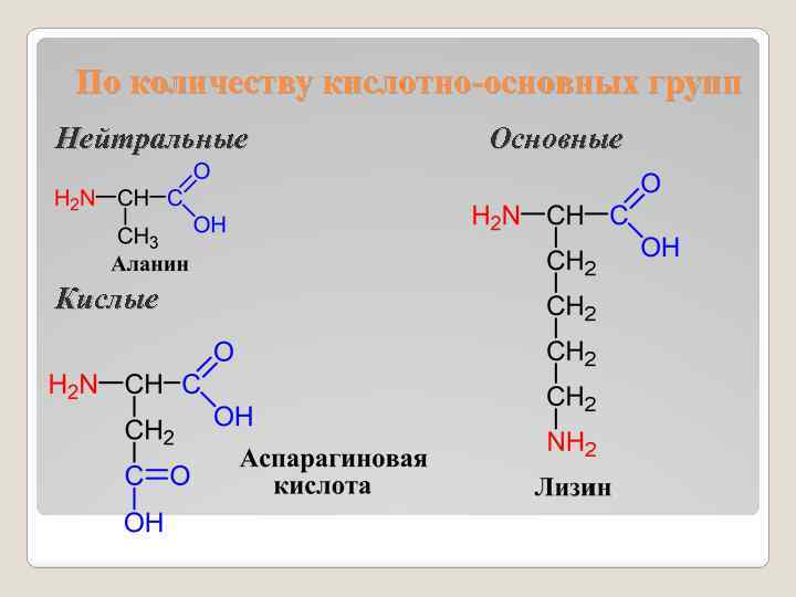 Количество белковых аминокислот. Аминокислоты и пептиды. Кислые основные и нейтральные белки. Аминокислоты пептиды белки. Кислые аминокислоты.