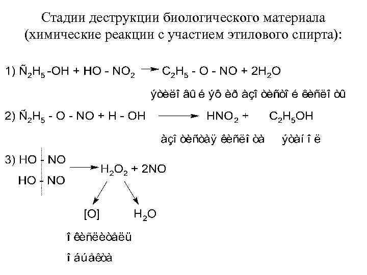 Стадии деструкции биологического материала (химические реакции с участием этилового спирта): 