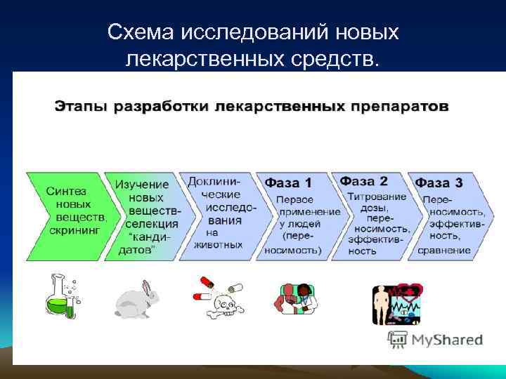 Схема исследований новых лекарственных средств. 