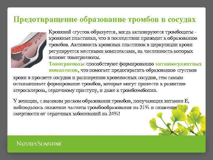 Предотвращение образование тромбов в сосудах Кровяной сгусток образуется, когда активируются тромбоциты кровяные пластинки, что