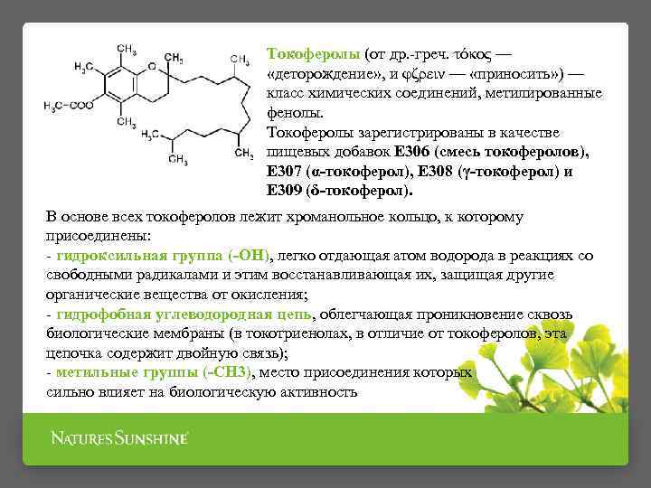 Токоферолы (от др. -греч. τόκος — «деторождение» , и φζρειν — «приносить» ) —