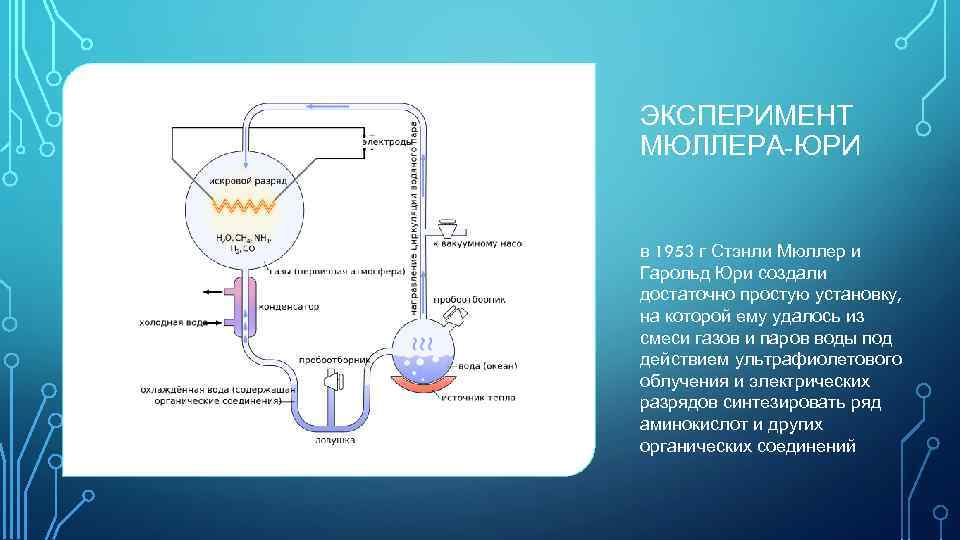 Первичный бульон эксперимент