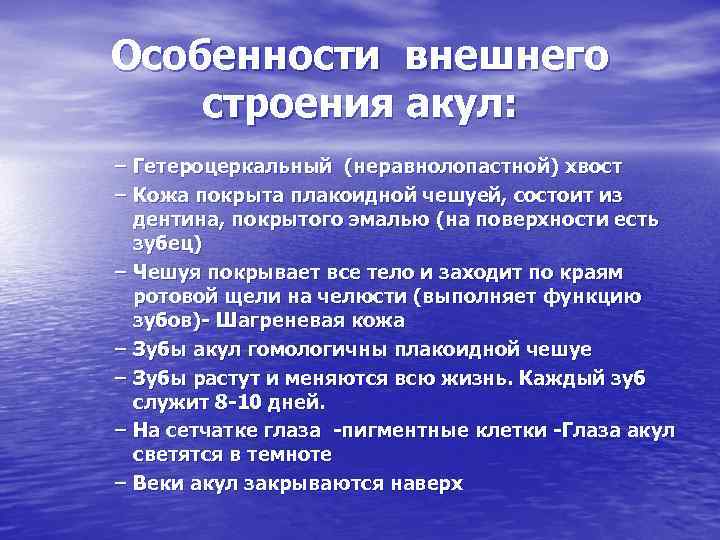 Особенности внешнего строения акул: – Гетероцеркальный (неравнолопастной) хвост – Кожа покрыта плакоидной чешуей, состоит