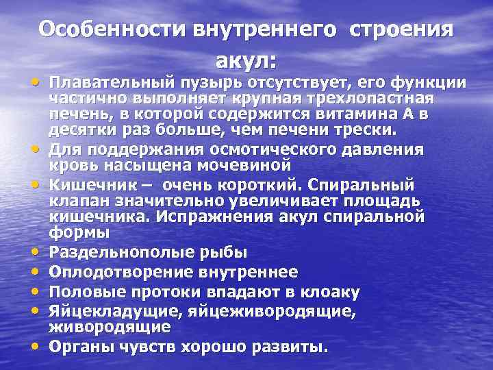 Особенности внутреннего строения акул: • Плавательный пузырь отсутствует, его функции • • частично выполняет