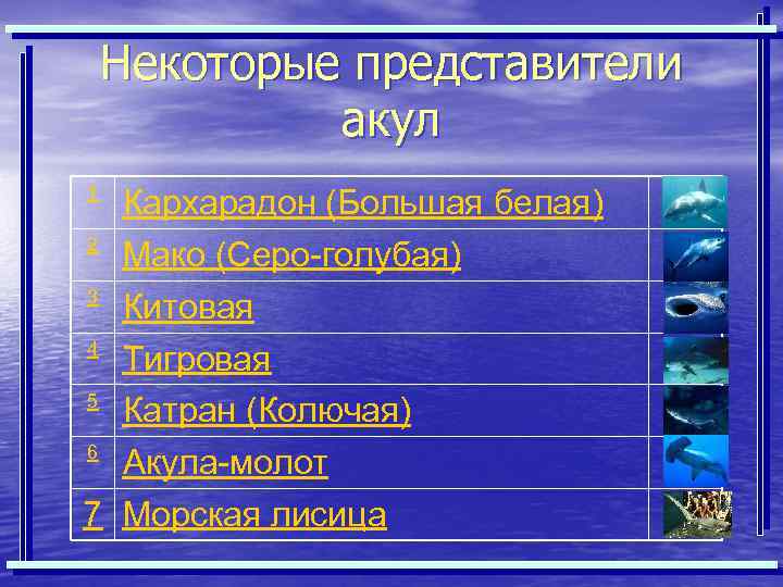 Некоторые представители акул 1 2 3 Кархарадон (Большая белая) Мако (Серо-голубая) Китовая 4 Тигровая