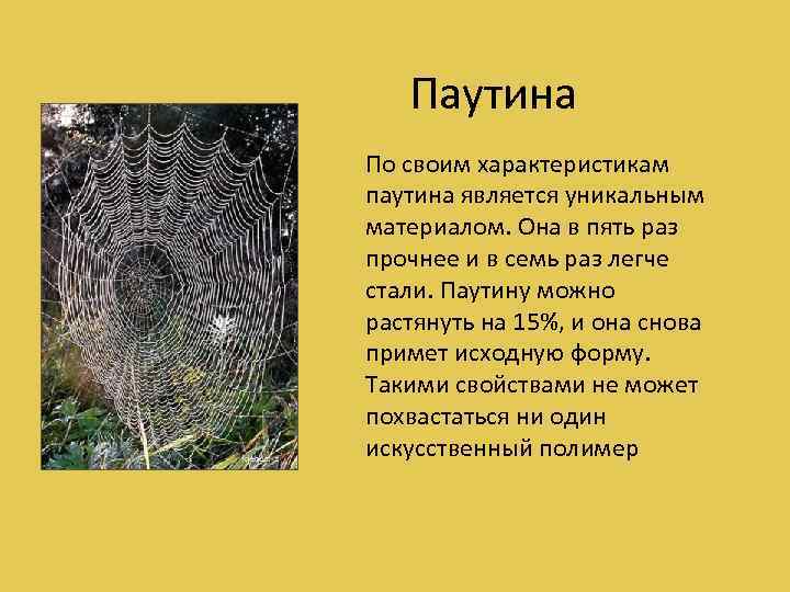 Паутина По своим характеристикам паутина является уникальным материалом. Она в пять раз прочнее и