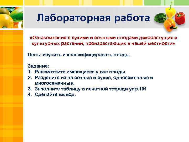 Лабораторная работа «Ознакомление с сухими и сочными плодами дикорастущих и культурных растений, произрастающих в