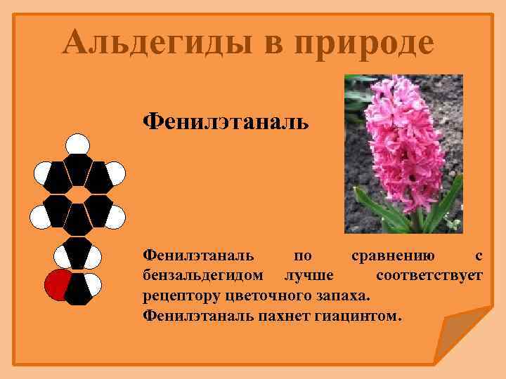 Альдегиды в природе Фенилэтаналь по сравнению с бензальдегидом лучше соответствует рецептору цветочного запаха. Фенилэтаналь