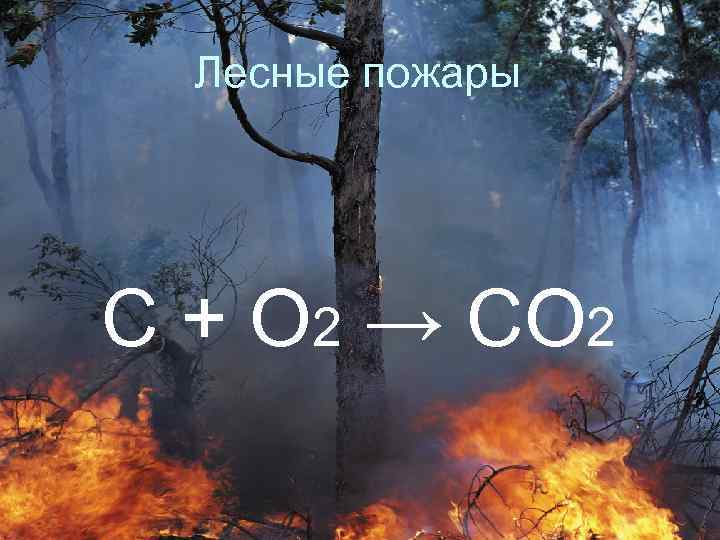 Лесные пожары C + O 2 → CO 2 