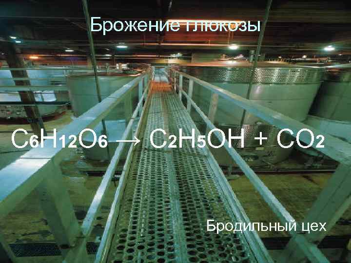 Брожение глюкозы C 6 H 12 O 6 → C 2 H 5 OH