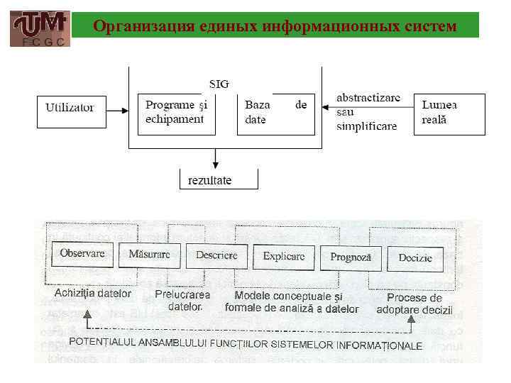 Организация единых информационных систем 