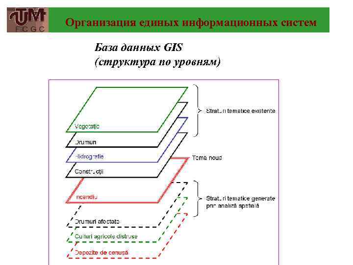 Организация единых информационных систем База данных GIS (структура по уровням) 