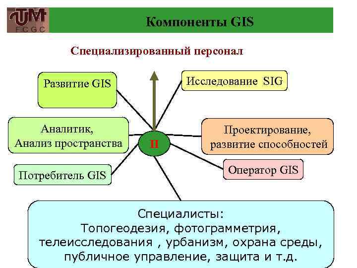 Компоненты GIS Специализированный персонал Исследование SIG Развитие GIS Aналитик, Анализ пространства Потребитель GIS П