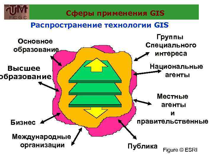 Сферы применения GIS Распространение технологии GIS Основное образование Высшее образование Бизнес Международные организации Группы