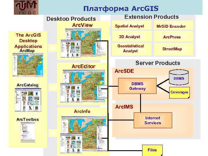 Платформа Arc. GIS Desktop Products Arc. View Extension Products Spatial Analyst Mr. SID Encoder