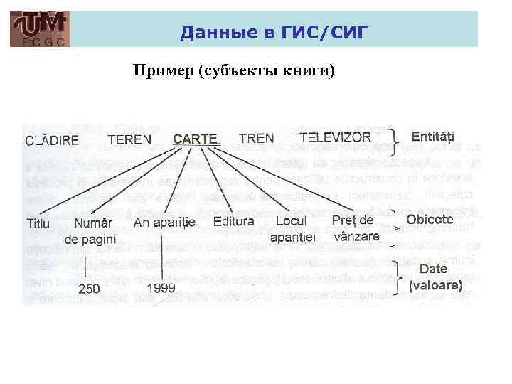 Данные в ГИС/СИГ Пример (субъекты книги) 