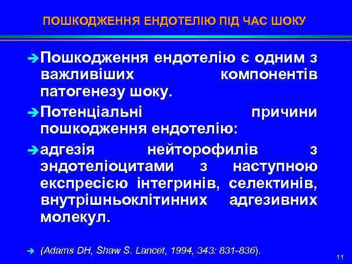 ПОШКОДЖЕННЯ ЕНДОТЕЛІЮ ПІД ЧАС ШОКУ è Пошкодження ендотелію є одним з важливіших компонентів патогенезу