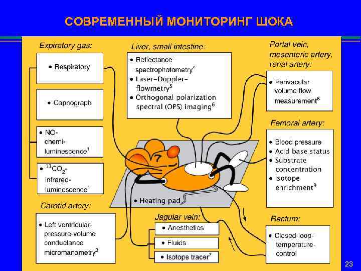 СОВРЕМЕННЫЙ МОНИТОРИНГ ШОКА 23 