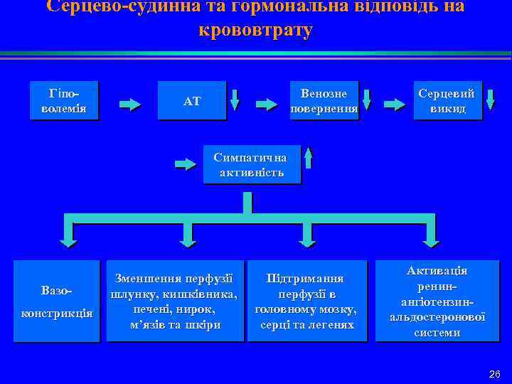 Серцево-судинна та гормональна відповідь на крововтрату Гіповолемія Венозне повернення АТ Серцевий викид Симпатична активність