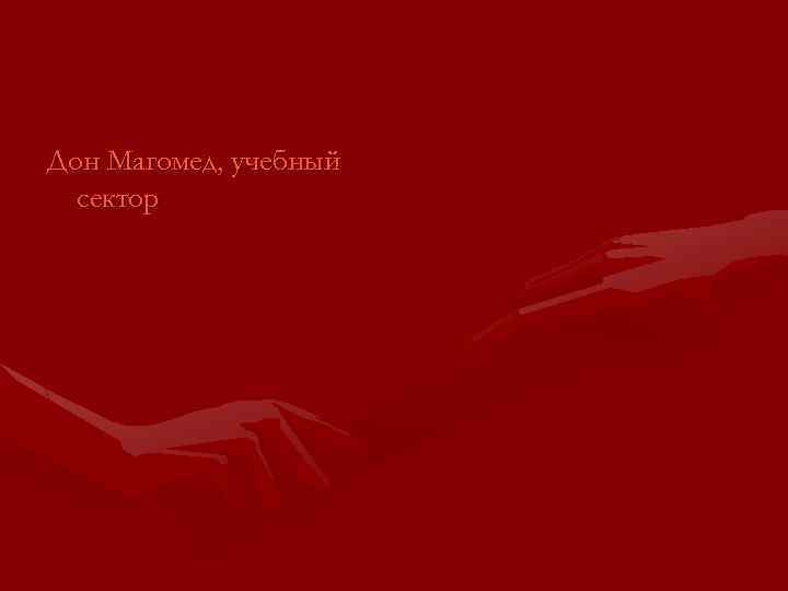 Дон Магомед, учебный сектор 