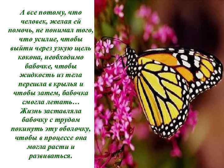 А все потому, что человек, желая ей помочь, не понимал того, что усилие, чтобы