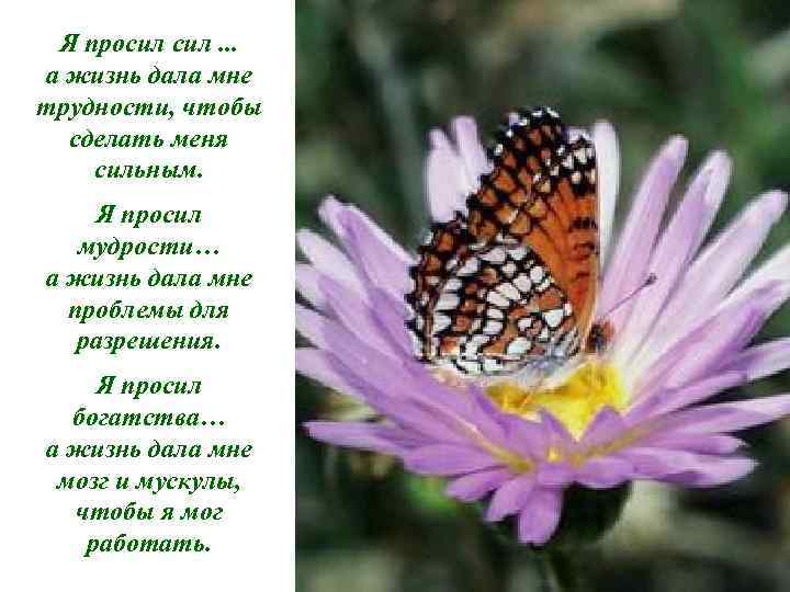 Я просил сил. . . а жизнь дала мне трудности, чтобы сделать меня сильным.