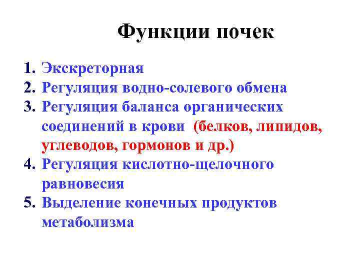 Функции почек 1. Экскреторная 2. Регуляция водно-солевого обмена 3. Регуляция баланса органических соединений в