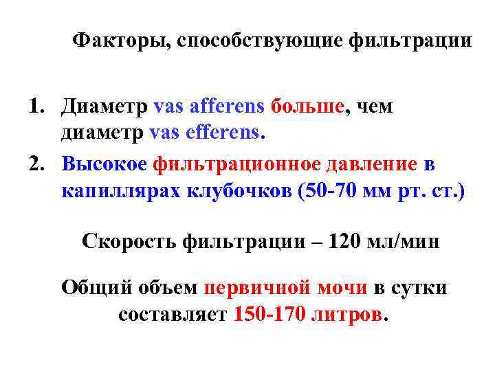 Факторы, способствующие фильтрации 1. Диаметр vas afferens больше, чем диаметр vas efferens. 2. Высокое