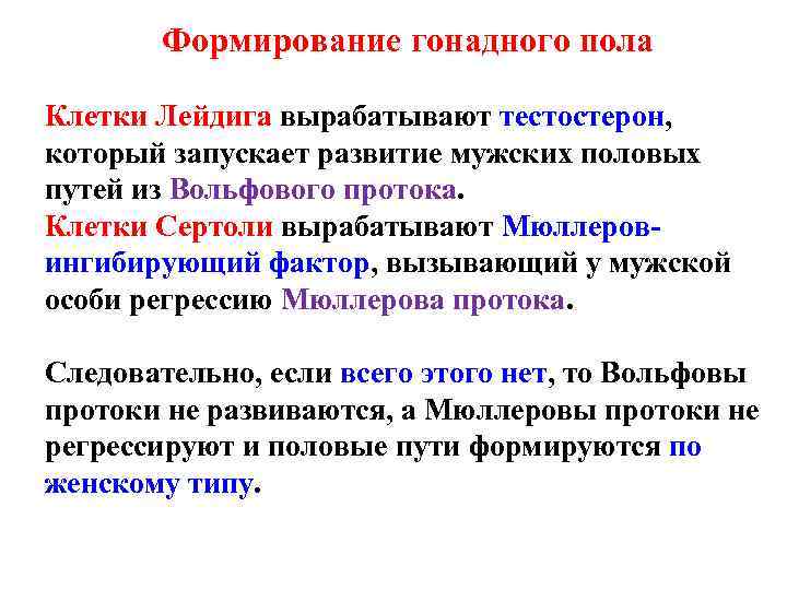 Формирование гонадного пола Клетки Лейдига вырабатывают тестостерон, который запускает развитие мужских половых путей из