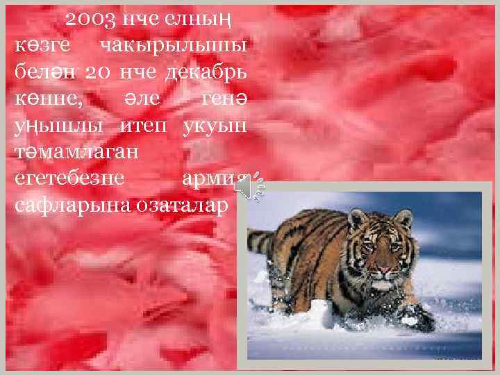 2003 нче елның көзге чакырылышы белән 20 нче декабрь көнне, әле генә уңышлы итеп