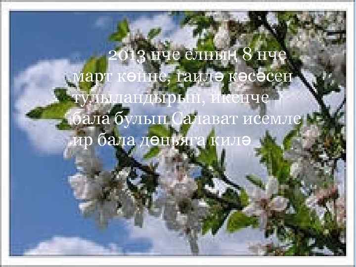 2013 нче елның 8 нче март көнне, гаилә кәсәсен тулыландырып, икенче бала булып Салават