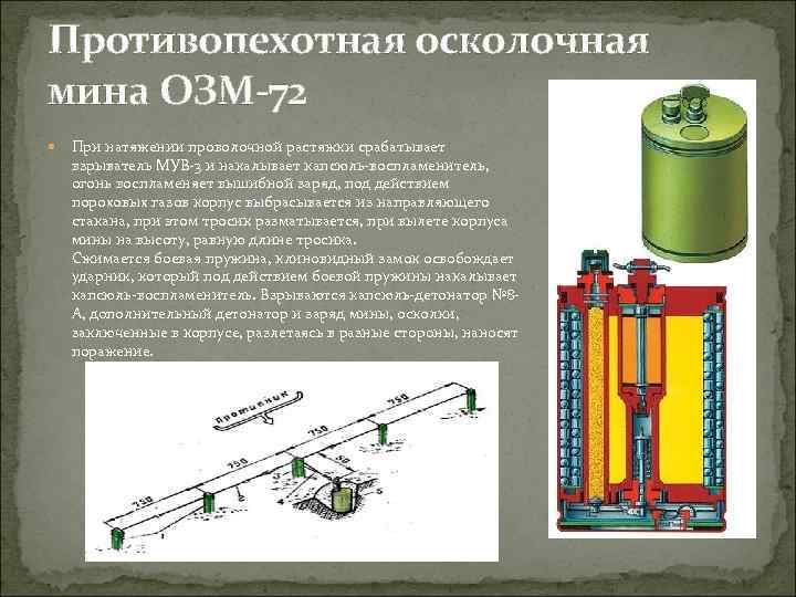 Противопехотная осколочная мина ОЗМ-72 При натяжении проволочной растяжки срабатывает взрыватель МУВ-3 и накалывает капсюль-воспламенитель,
