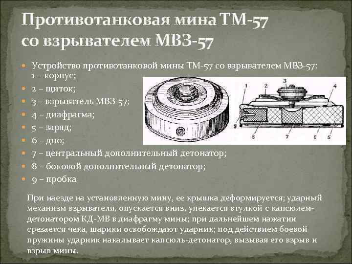 Противотанковая мина ТМ-57 со взрывателем МВЗ-57 Устройство противотанковой мины ТМ-57 со взрывателем МВЗ-57: 1