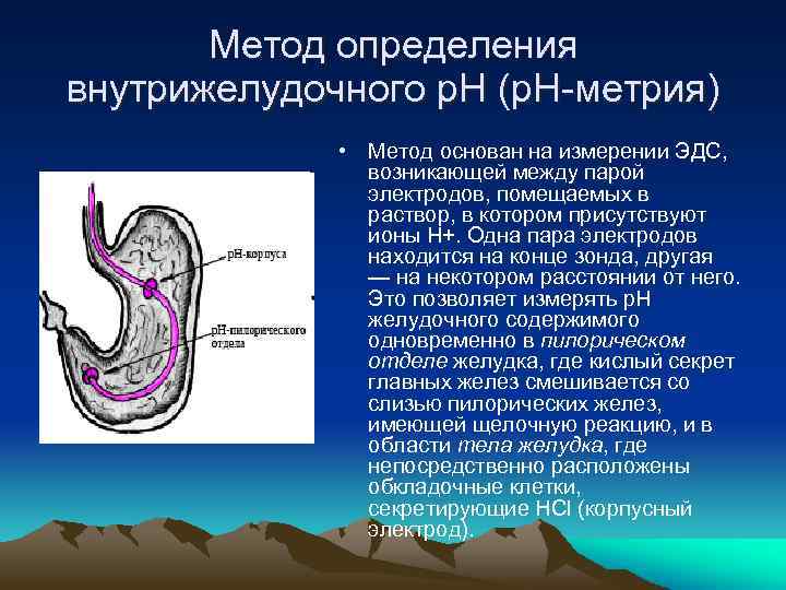 Метод определения внутрижелудочного р. Н (р. Н-метрия) • Метод основан на измерении ЭДС, возникающей