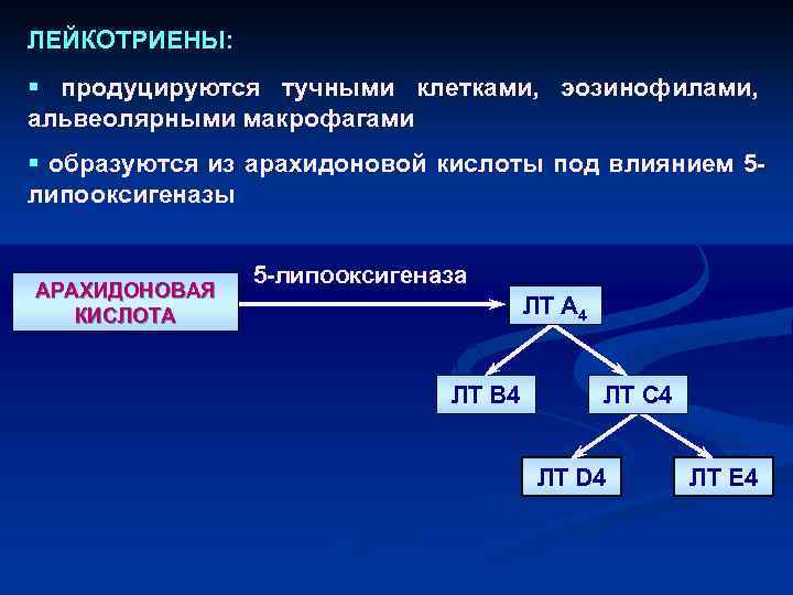 ЛЕЙКОТРИЕНЫ: § продуцируются тучными клетками, эозинофилами, альвеолярными макрофагами § образуются из арахидоновой кислоты под