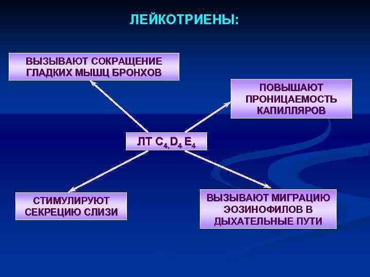 ЛЕЙКОТРИЕНЫ: ВЫЗЫВАЮТ СОКРАЩЕНИЕ ГЛАДКИХ МЫШЦ БРОНХОВ ПОВЫШАЮТ ПРОНИЦАЕМОСТЬ КАПИЛЛЯРОВ ЛТ C 4, D 4