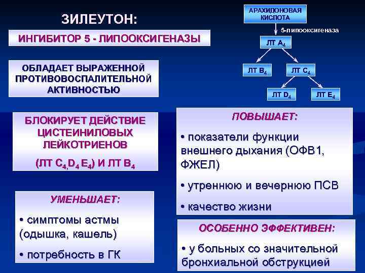 АРАХИДОНОВАЯ КИСЛОТА ЗИЛЕУТОН: ИНГИБИТОР 5 - ЛИПООКСИГЕНАЗЫ ОБЛАДАЕТ ВЫРАЖЕННОЙ ПРОТИВОВОСПАЛИТЕЛЬНОЙ АКТИВНОСТЬЮ БЛОКИРУЕТ ДЕЙСТВИЕ ЦИСТЕИНИЛОВЫХ