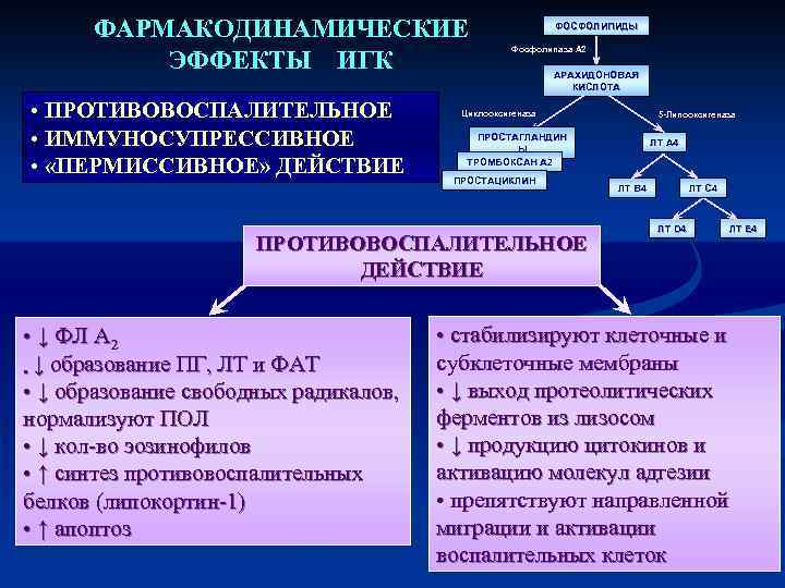 ФАРМАКОДИНАМИЧЕСКИЕ ЭФФЕКТЫ ИГК • ПРОТИВОВОСПАЛИТЕЛЬНОЕ • ИММУНОСУПРЕССИВНОЕ • «ПЕРМИССИВНОЕ» ДЕЙСТВИЕ ФОСФОЛИПИДЫ Фосфолипаза А 2