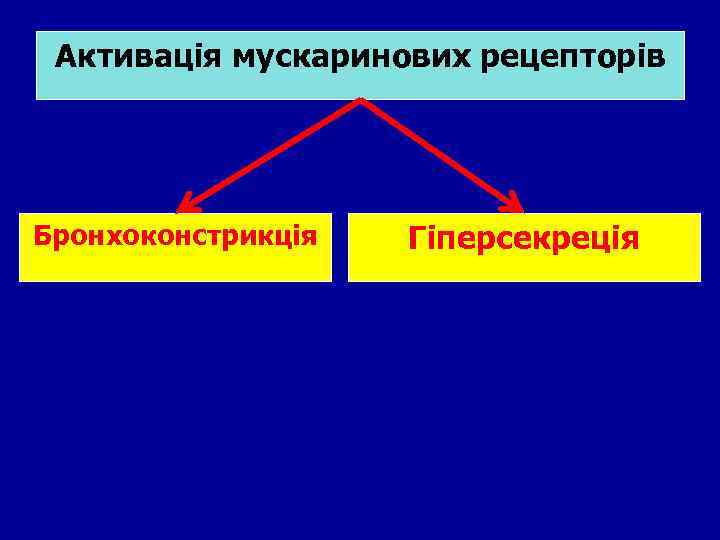 Активація мускаринових рецепторів Бронхоконстрикція Гіперсекреція 