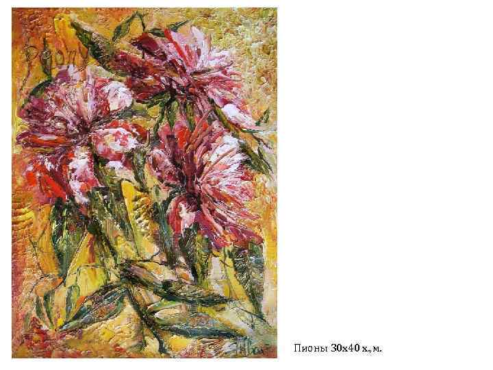Пионы 30 х40 х. , м. 
