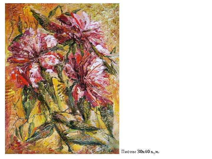 Пионы 30 х40 х. , м. 