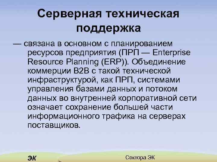 Серверная техническая поддержка — связана в основном с планированием ресурсов предприятия (ПРП — Enterprise