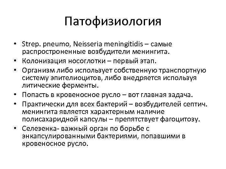 Патофизиология • Strep. pneumo, Neisseria meningitidis – самые распростроненные возбудители менингита. • Колонизация носоглотки