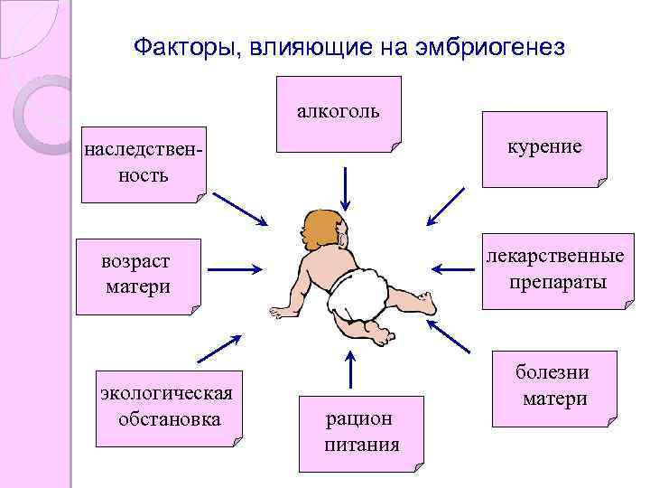 Презентация на тему беременность и роды 8 класс