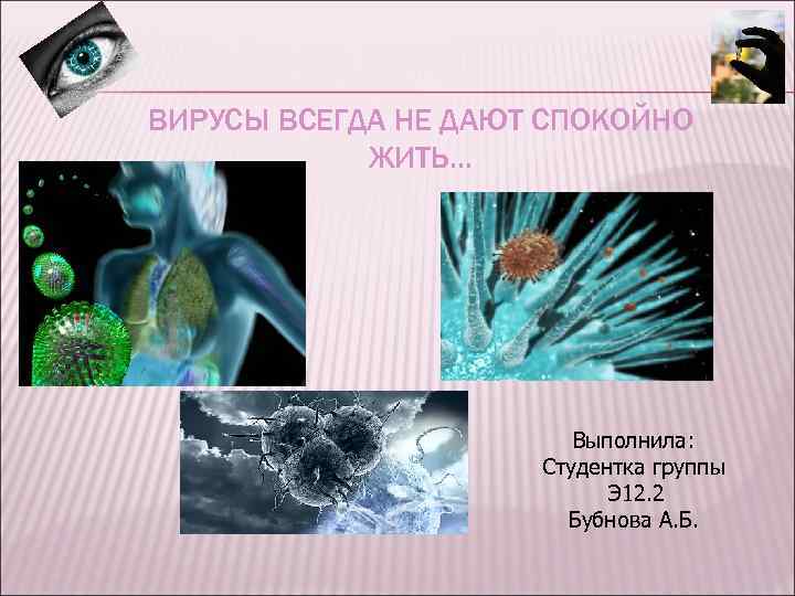 ВИРУСЫ ВСЕГДА НЕ ДАЮТ СПОКОЙНО ЖИТЬ… Выполнила: Студентка группы Э 12. 2 Бубнова А.